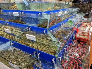 Live seafood tanks in Danang